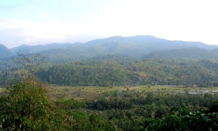 Hutan Lambusango, Kawasan Konservasi Sekaligus Objek Wisata Kaya Pesona di Buton