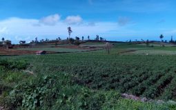 Agrowisata Ulu Ere, Destinasi Wisata Alam Favorit di Bantaeng