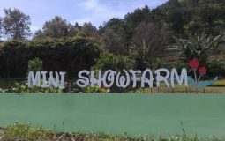 Mini Showfarm, Wisata Taman Bunga Cantik & Kekinian di Bantaeng