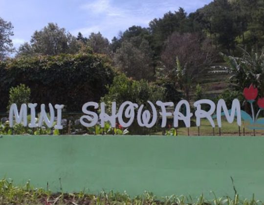 Mini Showfarm, Wisata Taman Bunga Cantik & Kekinian di Bantaeng