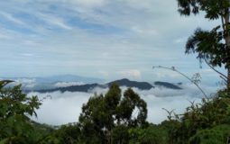 Indahnya Puncak Lestari, Pesona Wisata Negeri Atas Awan di Gorontalo
