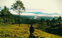 Bukit Mapongka, Menikmati Panorama Alam & Sunset yang Memukau di Tana Toraja