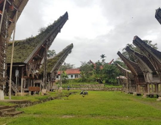 Tongkonan Karuaya, Mengenal Lebih Dekat Adat & Budaya Khas Toraja