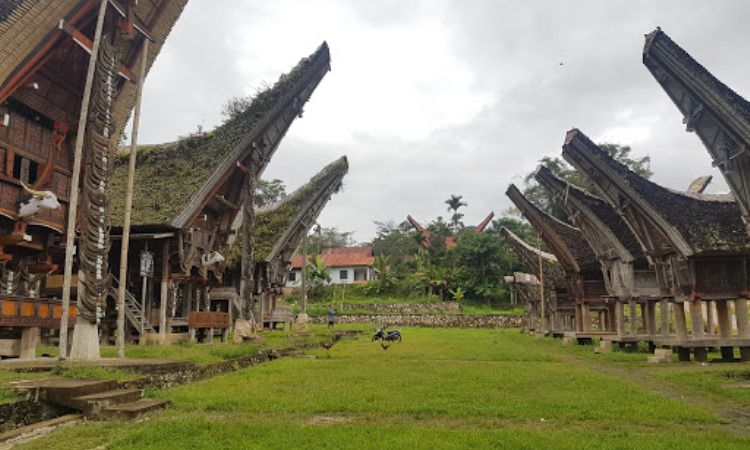 Tongkonan Karuaya, Mengenal Lebih Dekat Adat & Budaya Khas Toraja
