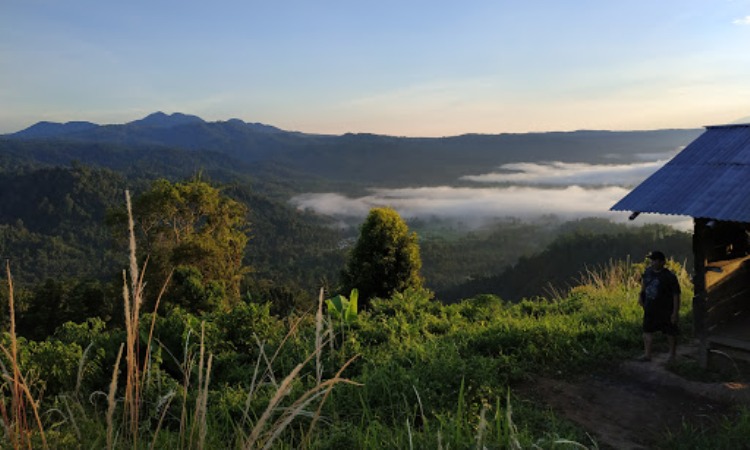 Wisata Alam Gunung Payung Ranoyapo Yang Menawan Di Minahasa Selatan