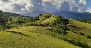 Bukit Sibedi, Menikmati Panorama Alam Eksotis dari Ketinggian di Sigi