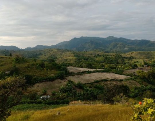 Bukit Galung Paara, Panorama Alam Eksotis dengan Hamparan Rumput Hijau di Majene