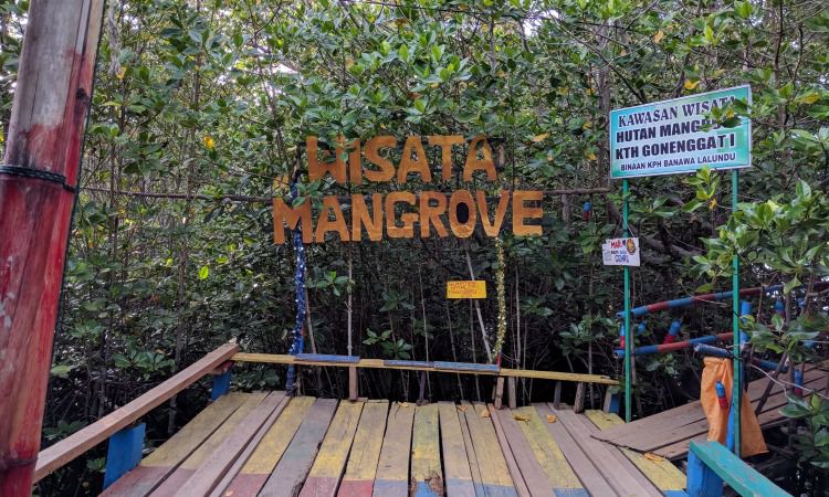 Tiket Masuk di Hutan Mangrove Donggala