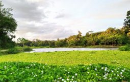 Danau Sibili, Pesona Danau Indah dengan Panorama Alam Memukau di Palu